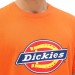 Meilleur Prix Garanti T-Shirt à Manche Courte Dickies Horseshoe - 2